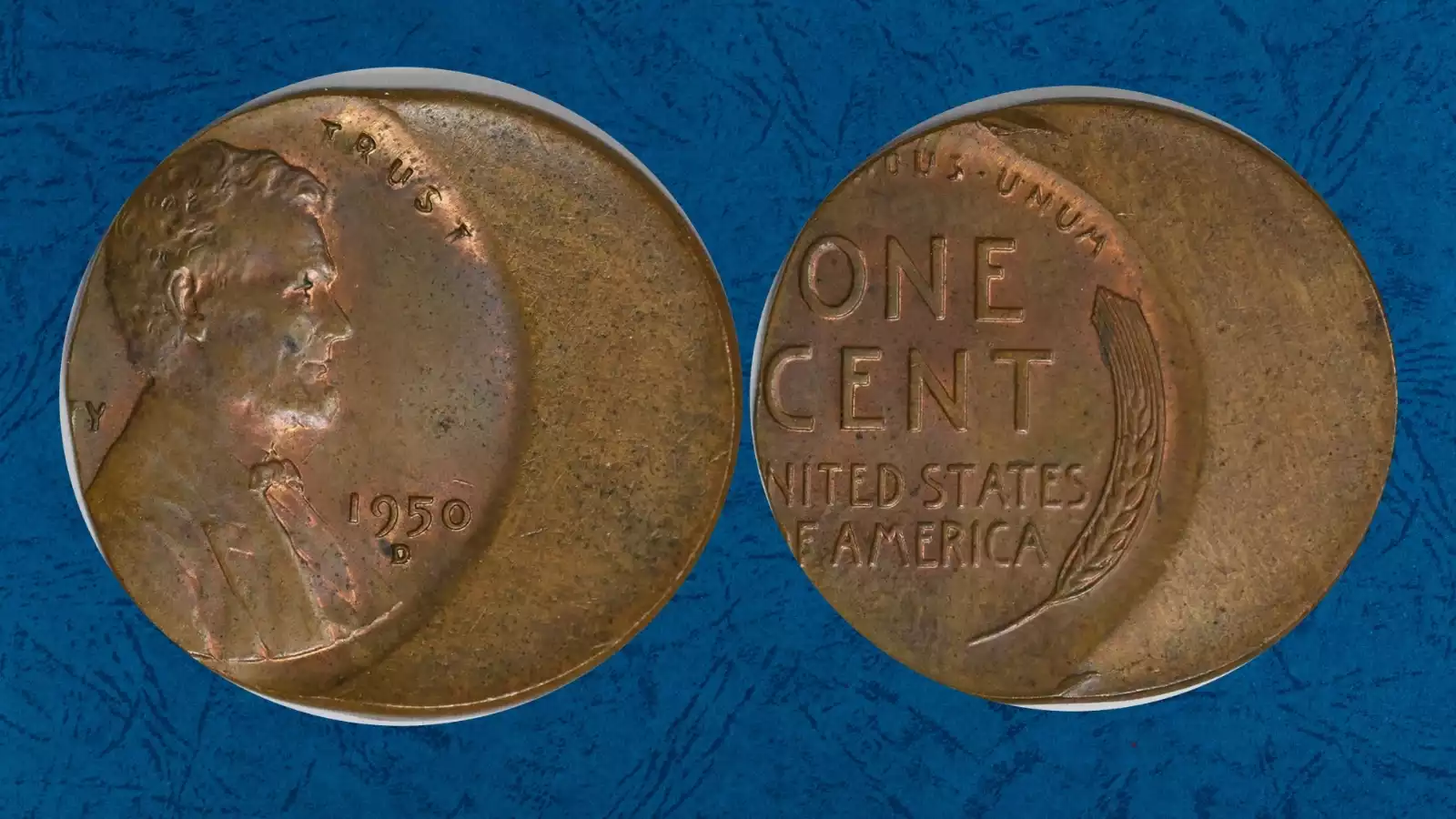 1950-D wheat penny struck approximately 35% off-center with blank crescent visible and full date showing on shifted Lincoln design